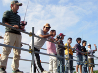 �G�L�X�p�[�g�a-2