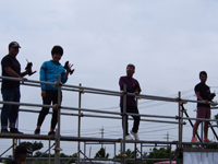 �r�o�G�L�pB-2