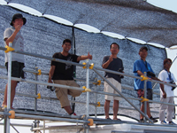 �^�~���`-2