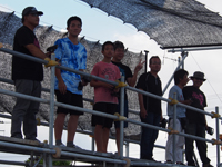 �^�~���`-2