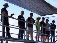 �I�[�v��A-2-1