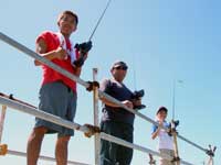 �s�a�E�b-�Q