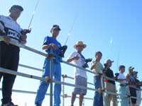 �Q�R�E�`-�Q