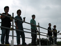 �~�j�N���XB-2